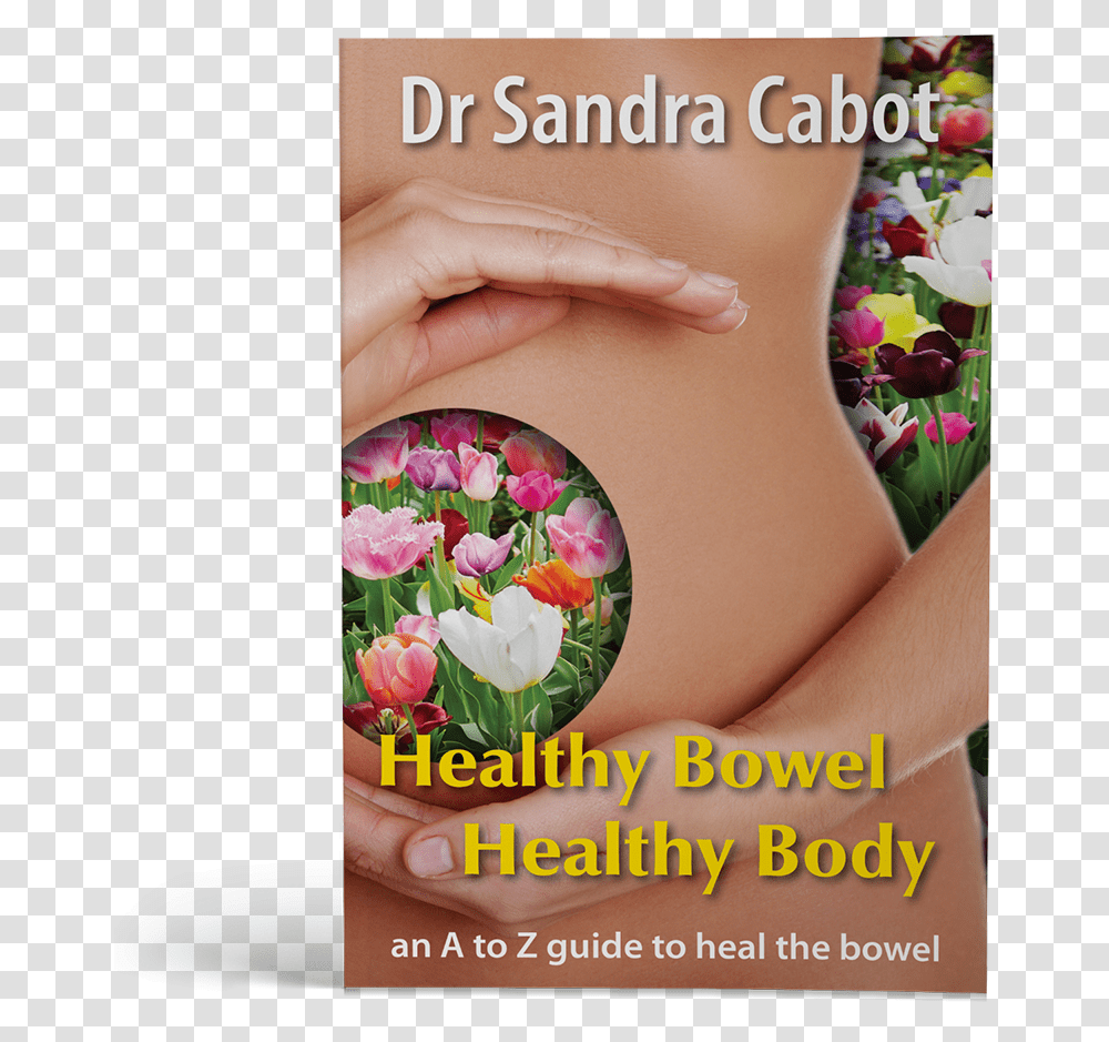 Healthy Bowel Healthy Body, Petal, Flower, Plant, Person Transparent Png