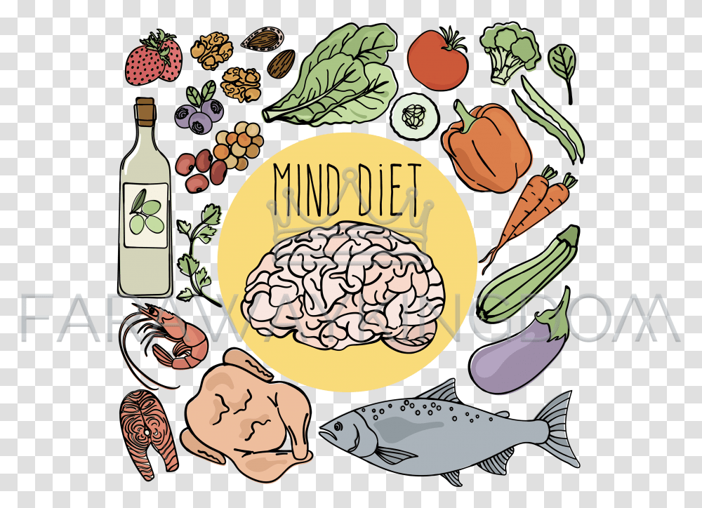 Healthy Brain Mind Diet Nutrition Vector Illustration Set Vector Graphics, Poster, Advertisement, Fish, Animal Transparent Png