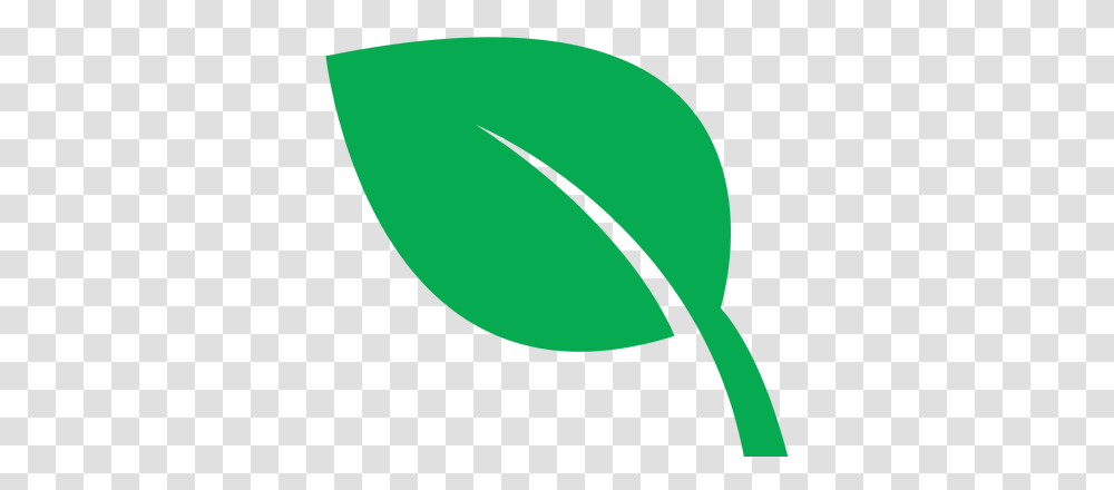 Healthy Cafes Language, Green, Plant, Ball, Leaf Transparent Png