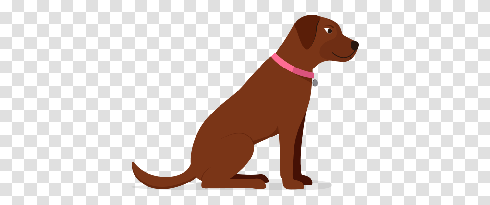 Healthy Dog Cat Food, Mammal, Animal, Pet, Abyssinian Transparent Png
