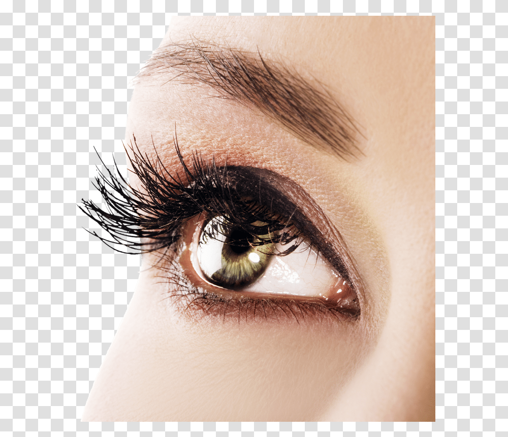 Healthy Eye Download Eyes Exercise For Improving Eyesight, Person, Human, Cosmetics, Mascara Transparent Png