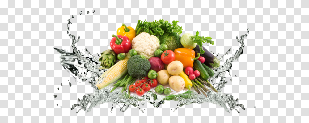 Healthy Food Background, Plant, Cauliflower, Vegetable, Broccoli Transparent Png