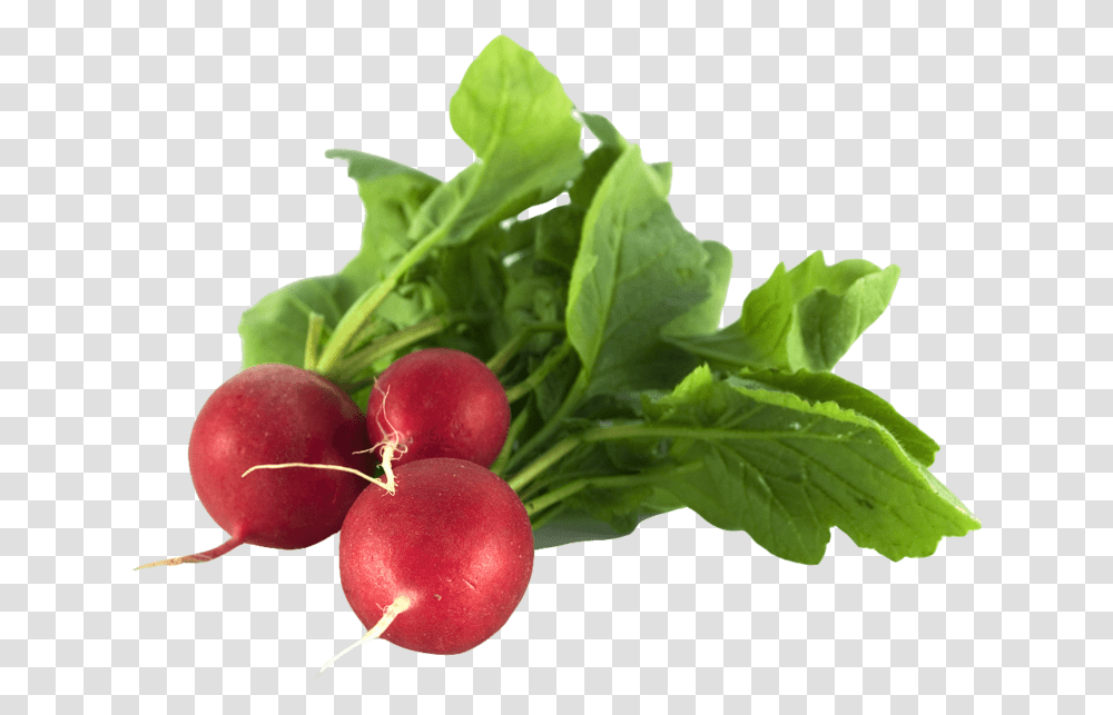 Healthy Food In Summer, Plant, Radish, Vegetable, Apple Transparent Png