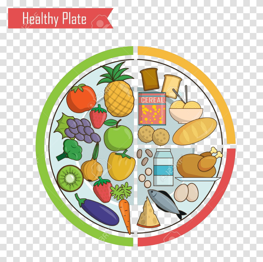 Healthy Food Infographic Chart Illustration Of Plate Healthy Plate, Doodle, Drawing Transparent Png
