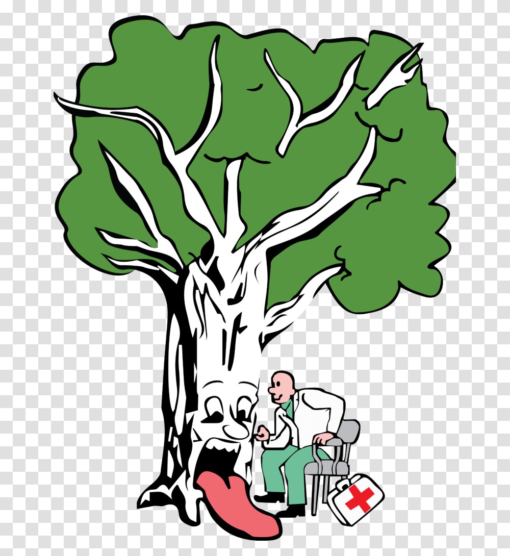 Healthy Tree Drawing, Plant, Vegetable, Food, Produce Transparent Png