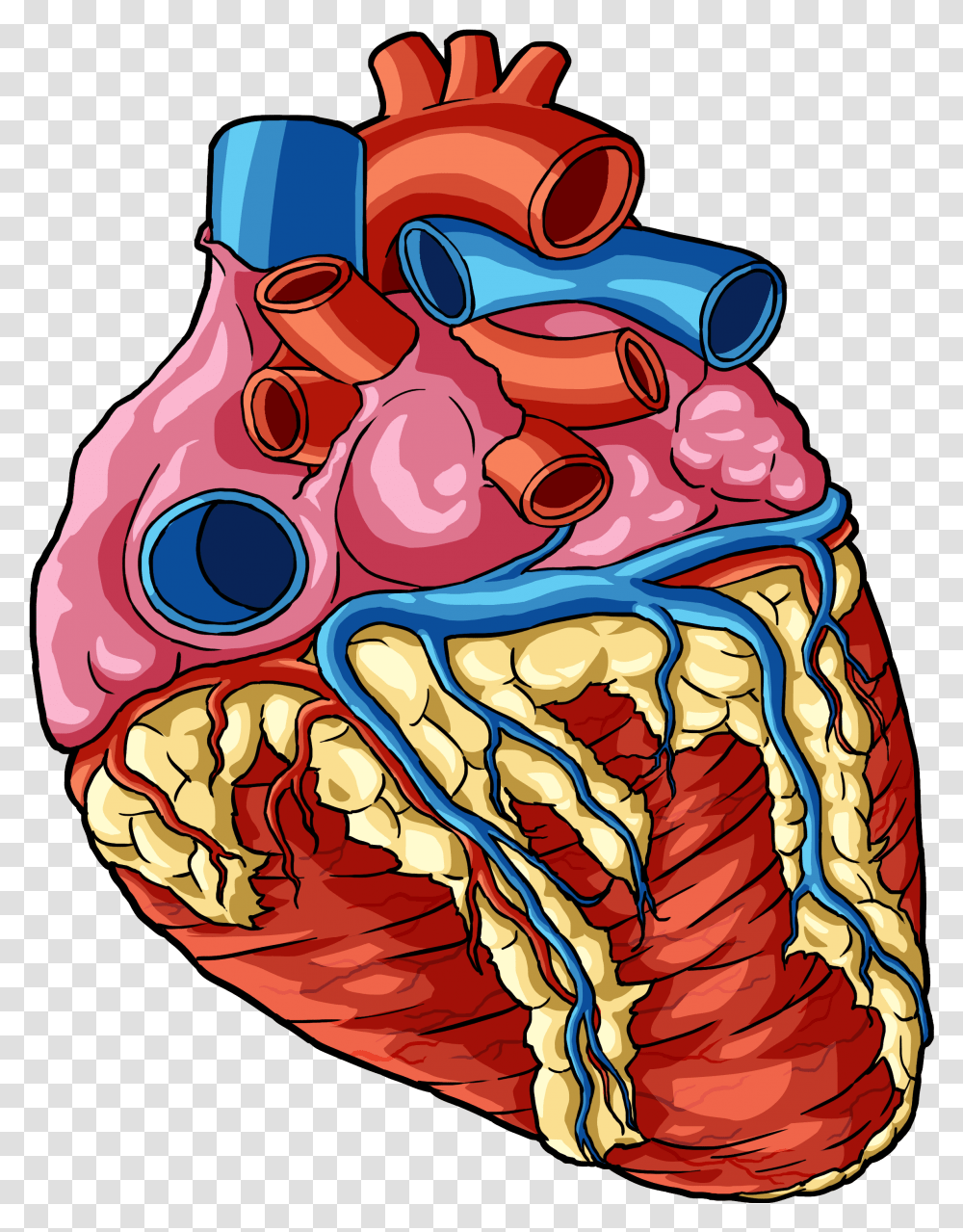 Heart 1 Human Body Parts Cartoon Jingfm Background Human Heart, Water, Graphics, Mouth, Lip Transparent Png