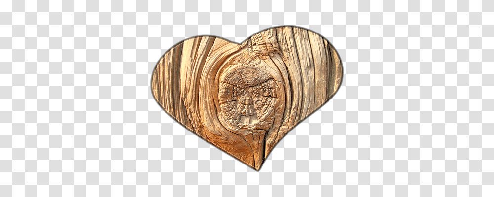 Heart Emotion, Wood, Fossil, Sea Life Transparent Png