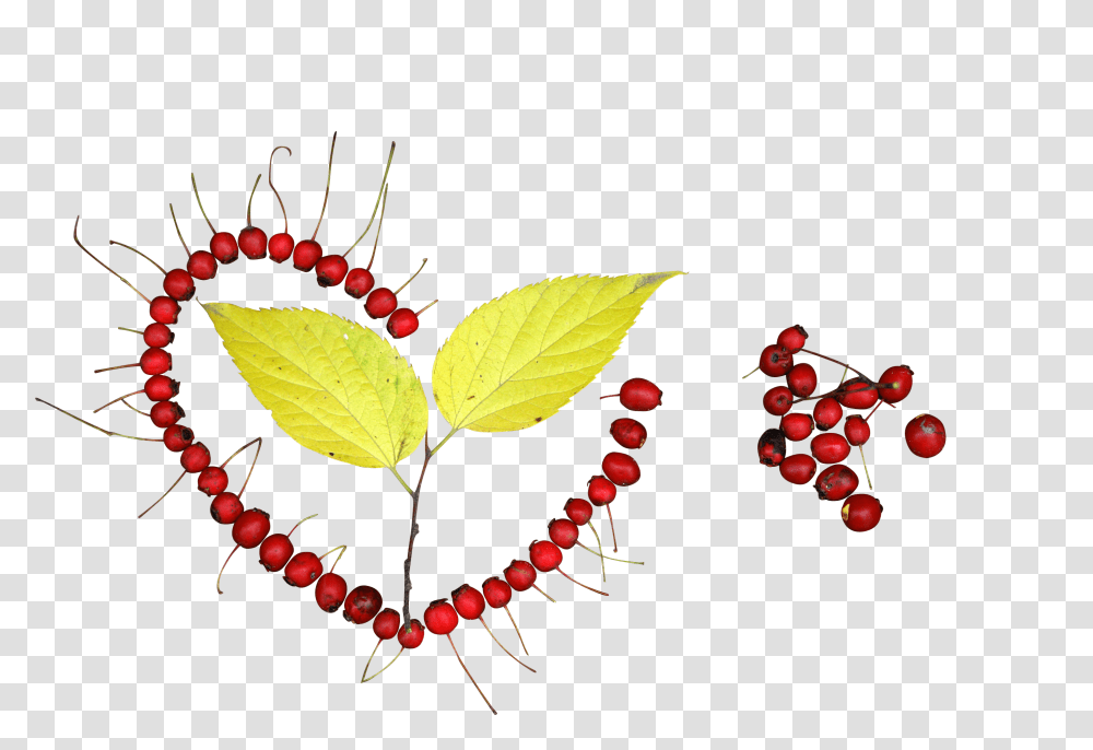 Heart Clip, Holiday, Leaf, Plant, Accessories Transparent Png