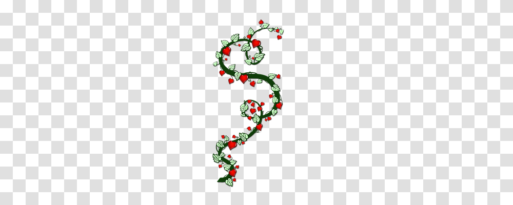 Heart Emotion, Christmas Tree, Plant Transparent Png