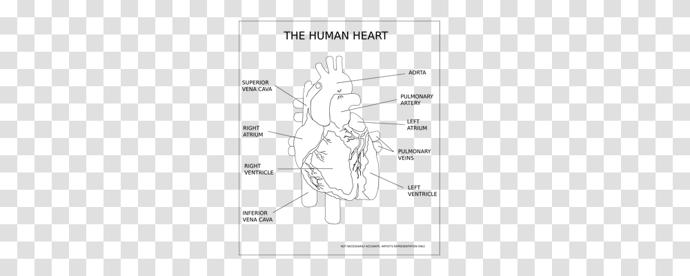 Heart Technology, Stencil, Silhouette, Drawing Transparent Png