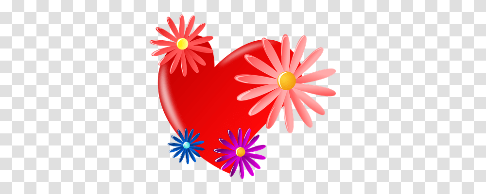 Heart Emotion, Daisy, Flower, Plant Transparent Png