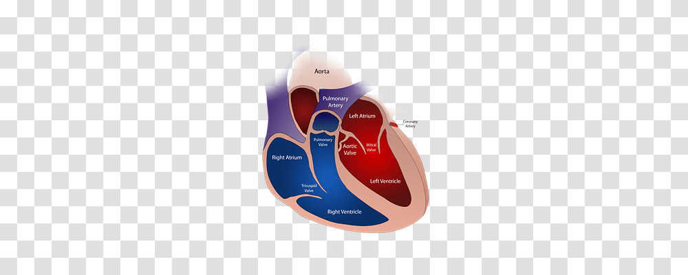 Heart Technology, Label, Diagram Transparent Png