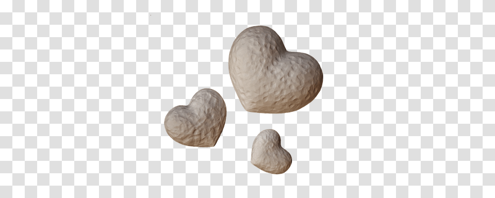 Heart Emotion, Plant, Clam, Seashell Transparent Png