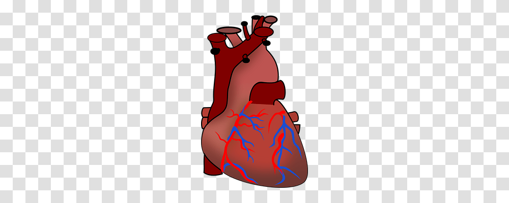 Heart Clothing, Food, Plot, Leisure Activities Transparent Png