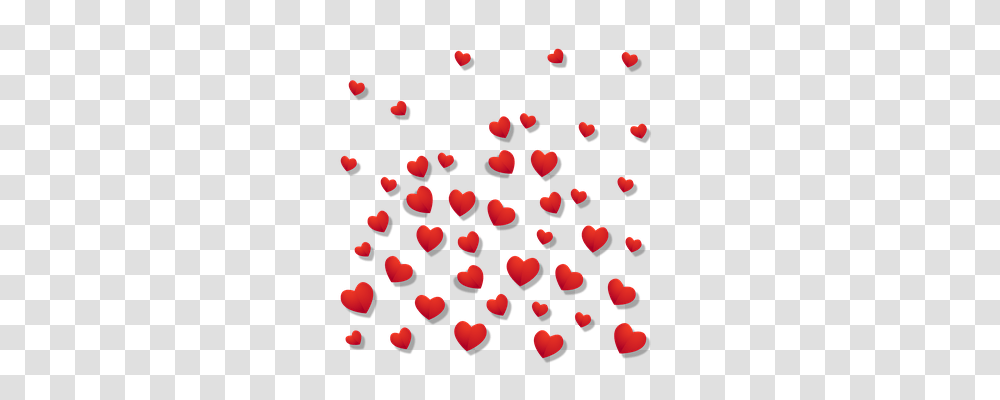 Heart Holiday, Petal, Flower, Plant Transparent Png