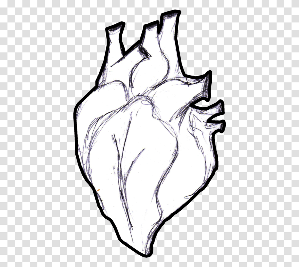Heart Anatomy Coloring Book Human Body Real Life Heart Drawing, Hand, Person, Sketch, Fist Transparent Png