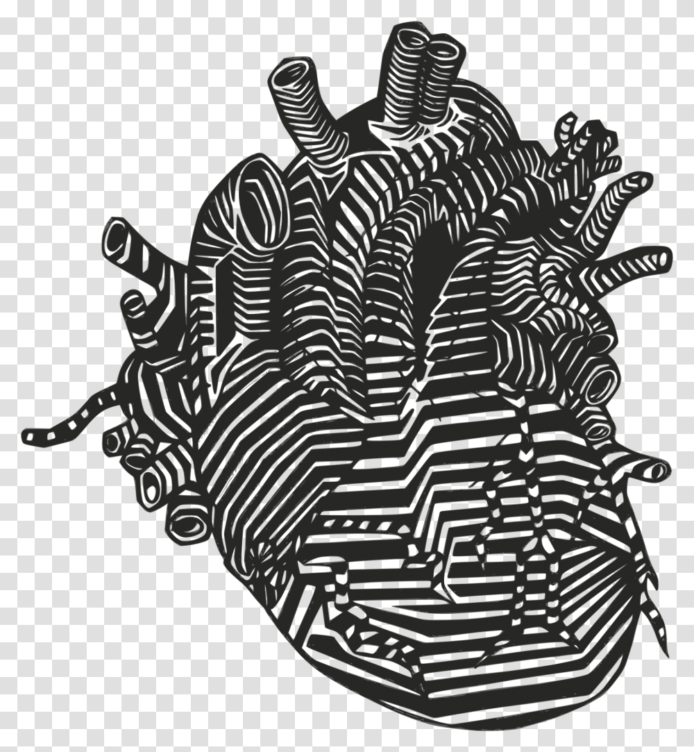 Heart Anatomy Drawing Clip Art, Doodle, Rug, Stencil Transparent Png