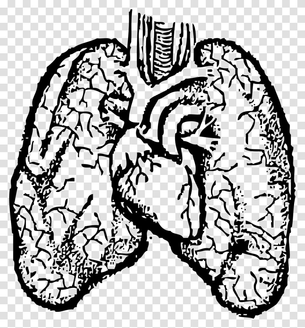 Heart And Lungs Clip Arts Heart And Lungs Drawing, Gray, World Of Warcraft Transparent Png