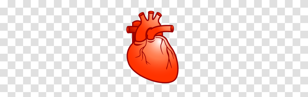 Heart Cardiology Plastic Xp Icon Gallery, Animal, Poultry, Fowl, Bird Transparent Png