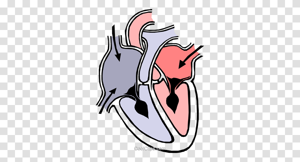 Heart Chambers Royalty Free Vector Clip Art Illustration, Tie, Accessories, Accessory, Stencil Transparent Png