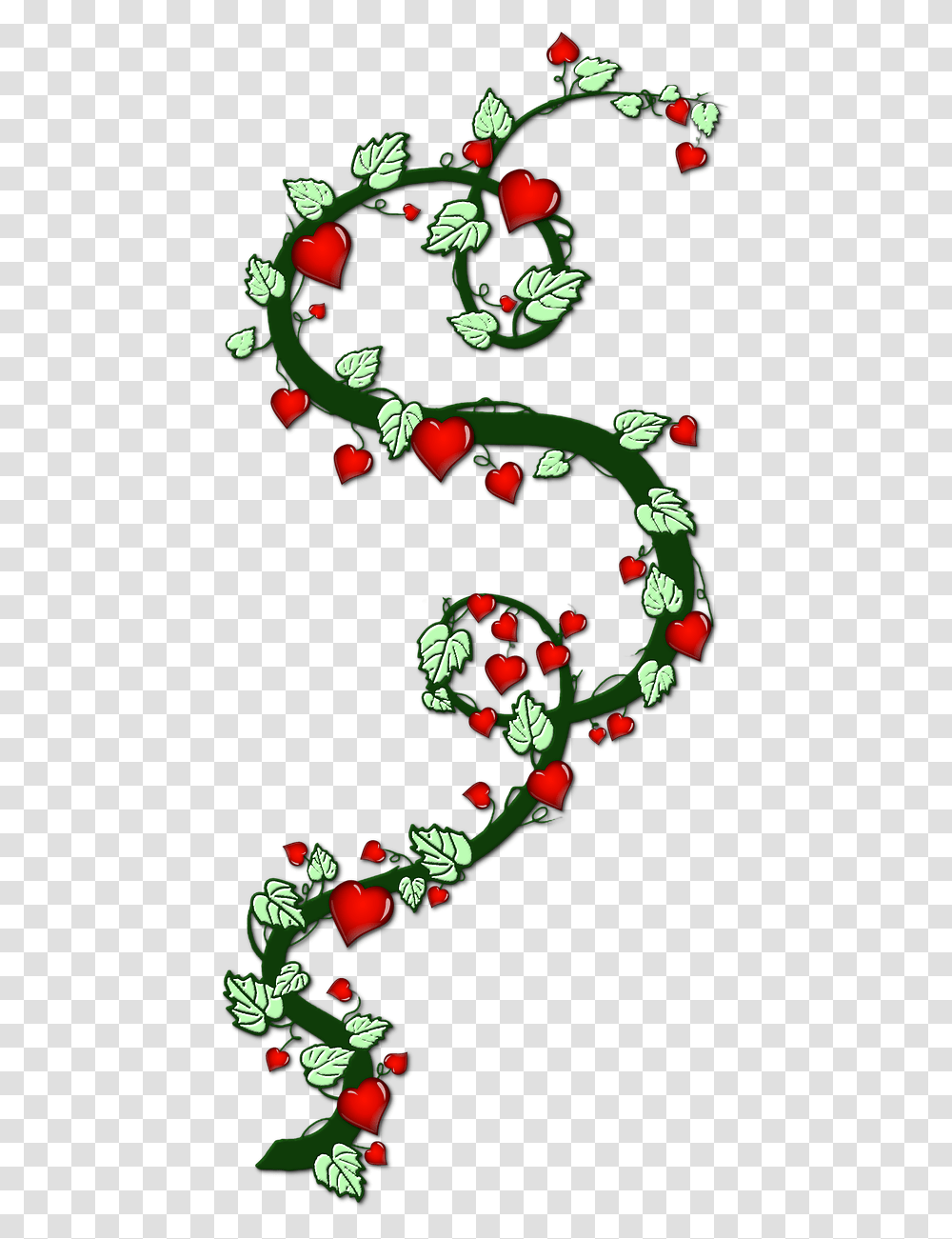 Heart Creeper Bush Love Symbol Heart, Christmas Tree, Plant, Floral Design Transparent Png