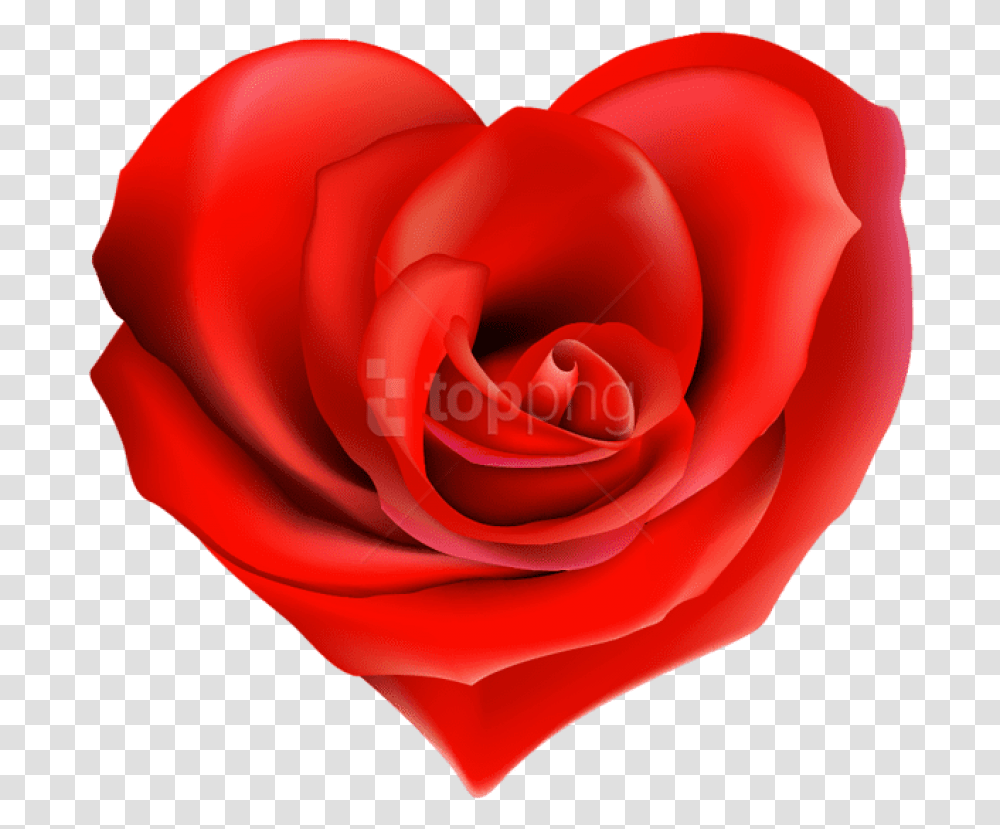 Heart Decorations Heart Images Heart Pictures Hearts Hearts And Roses, Flower, Plant, Blossom, Petal Transparent Png