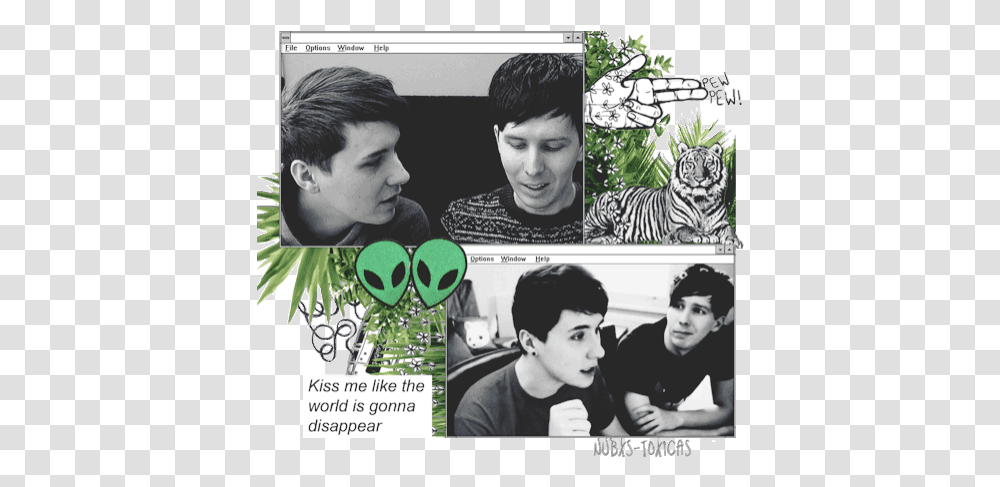 Heart Eyes Phan Stickers For Android Album Cover, Tiger, Animal, Person, Collage Transparent Png