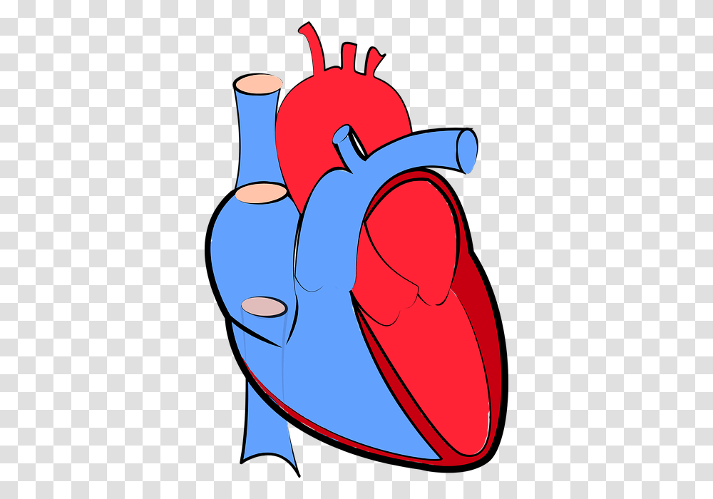 Heart Failure Background And Pathophysiology Tldr Pharmacy, Hand, Apparel, Stain Transparent Png