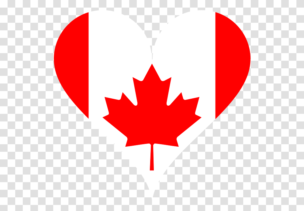 Heart Flag Canada Love National Flag Maple Leaf Clipart Canada Maple Leaf, Plant, Tree Transparent Png