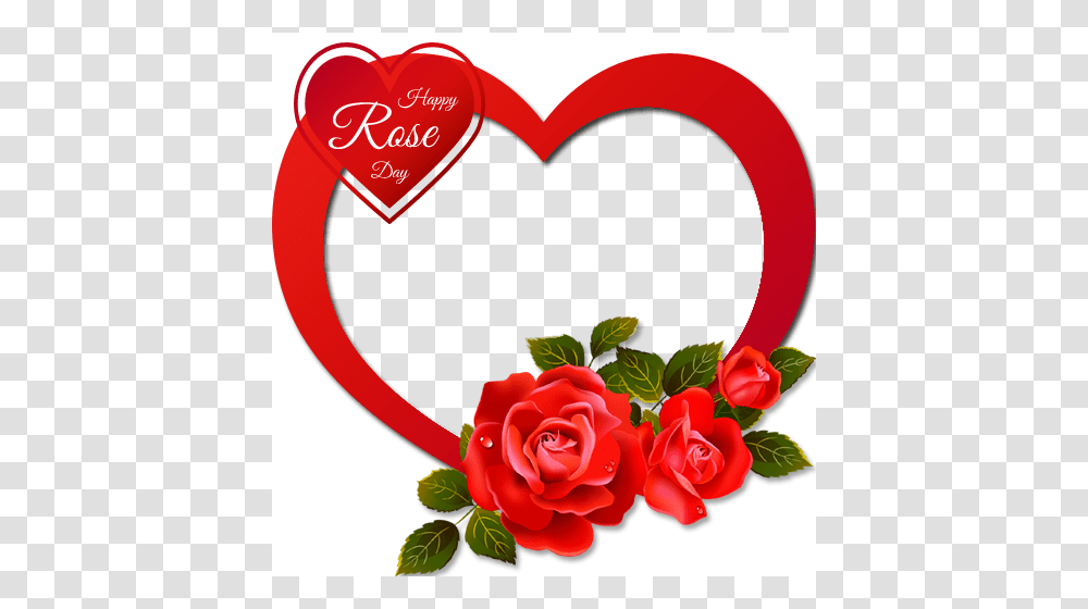 Heart Frame Image Editor, Rose, Flower, Plant, Blossom Transparent Png