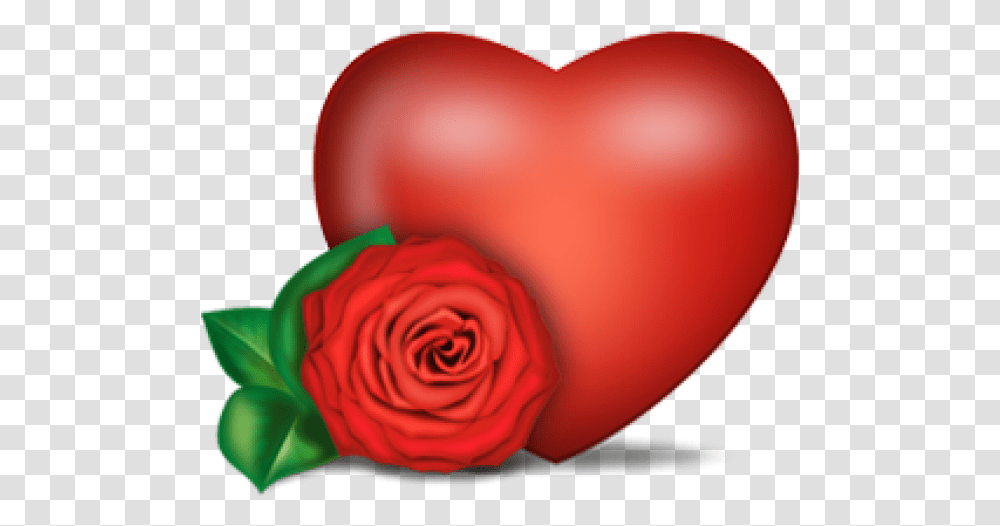 Heart Free Image Download Heart With Flower, Rose, Plant, Blossom, Balloon Transparent Png