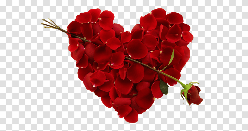 Heart Hd Images Download Artistic Joyful My Husband Is My Life, Petal, Flower, Plant, Blossom Transparent Png