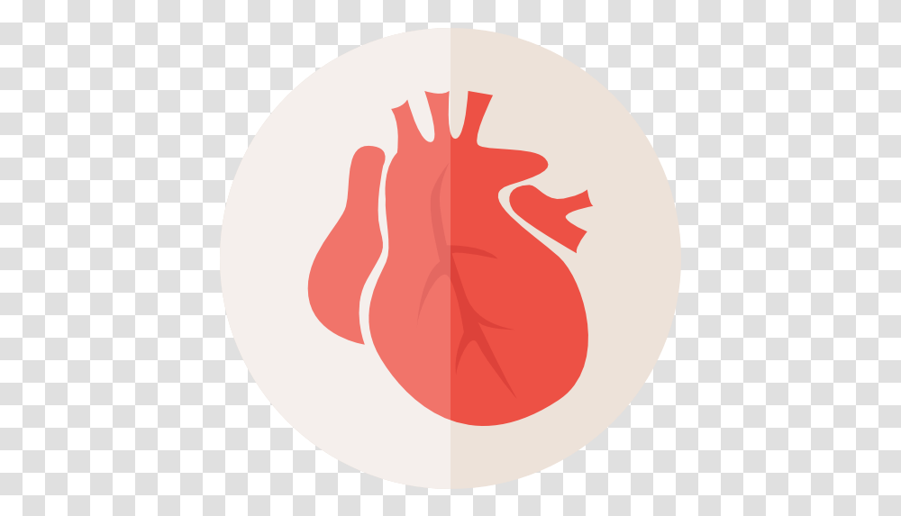 Heart Healthcare And Medical Organ Heart, Plant, Hand, Food, Vegetable Transparent Png