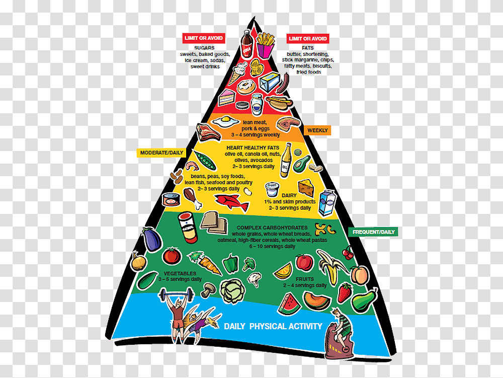 Heart Healthy Food Pyramid Clipart Healthy Heart Food Pyramid, Plant, Label, Triangle Transparent Png