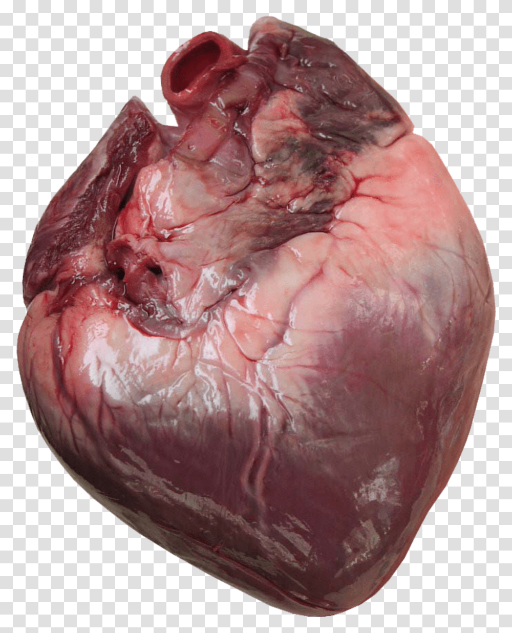 Heart Human Corazon Humano Real 3d Transparent Png