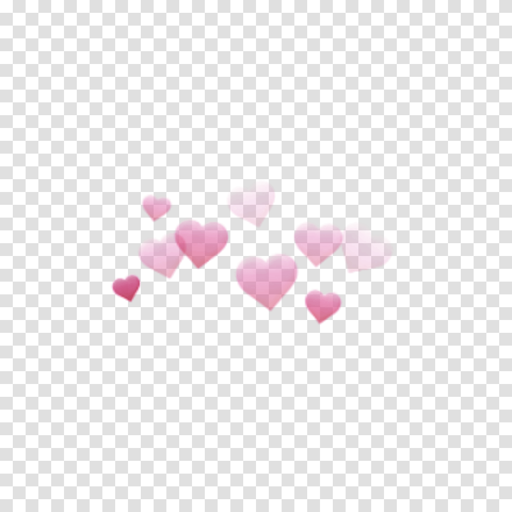 Heart Kalp Pink Pembe Rosa Snapchat Hearts, Petal, Flower, Plant, Blossom Transparent Png