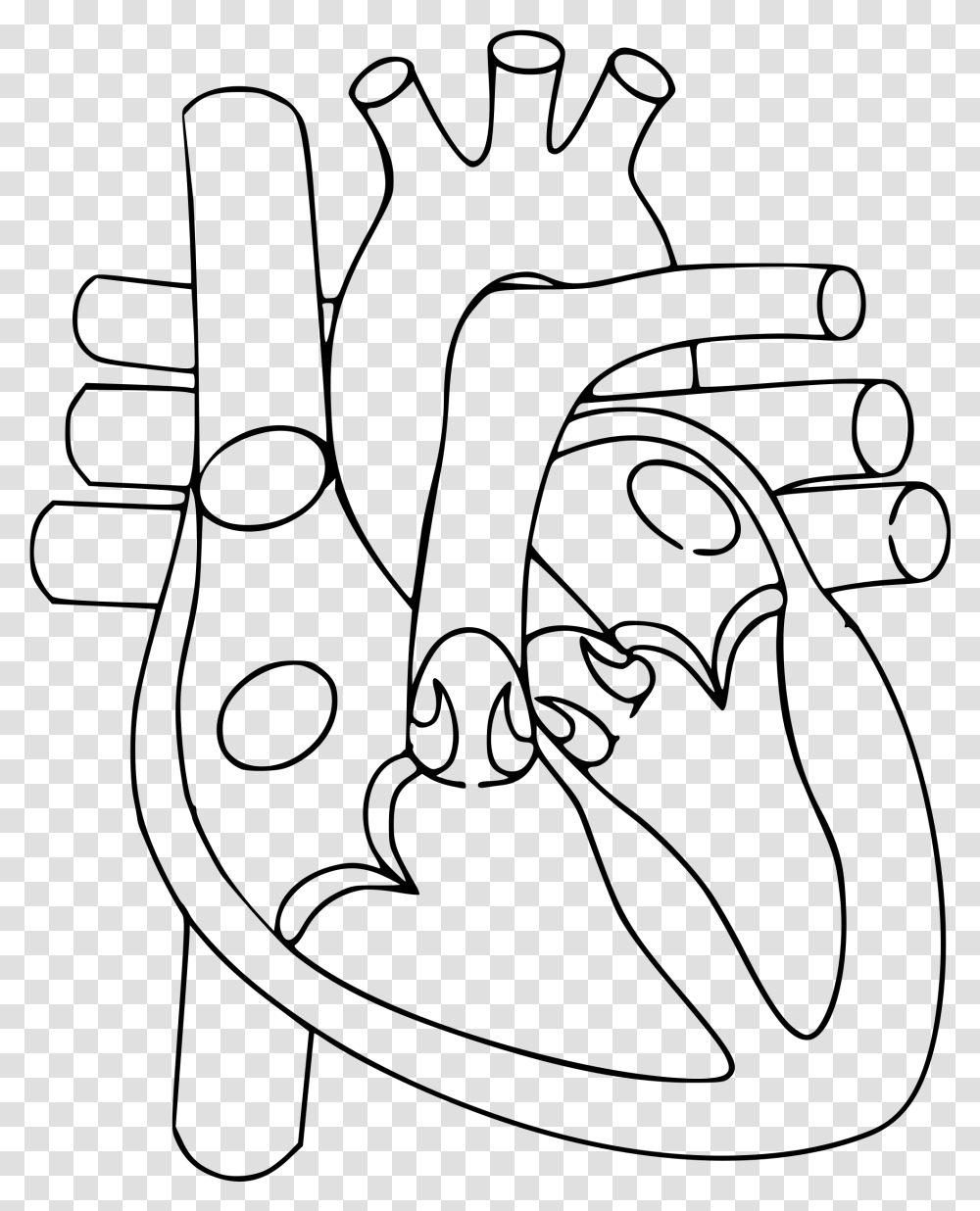 Heart Line Drawing Clip Art Heart Diagram Not Labelled, Gray, World Of Warcraft Transparent Png