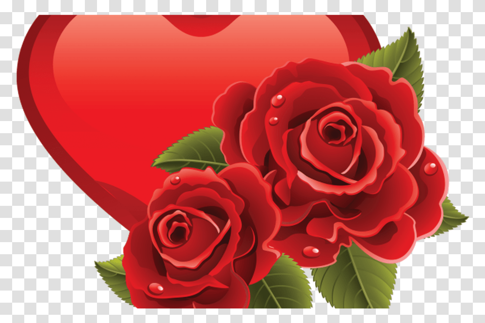 Heart Love Background Day White Red Symbol Valentine Good Morning Heart Rose, Flower, Plant, Blossom Transparent Png