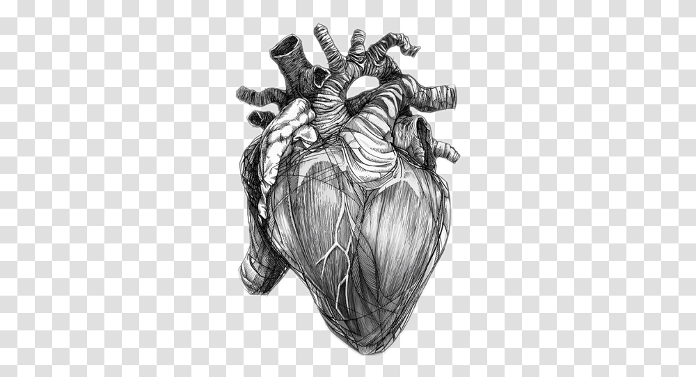 Heart Love Realistic Freetoedit Anatomical Heart Of Stone, Drawing, Sketch, Doodle, Modern Art Transparent Png