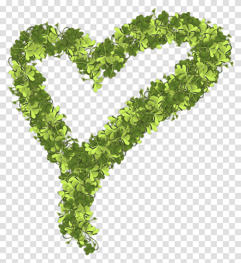 Heart Made Of Shamrocks Portable Network Graphics, Plant, Moss, Green, Text Transparent Png
