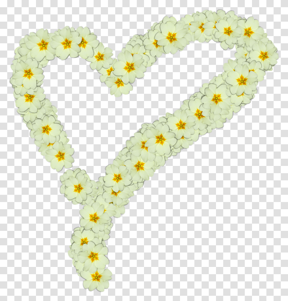 Heart Made Of White Flowers Flores Margaritas Con Corazones, Alphabet, Text, Plant, Rug Transparent Png