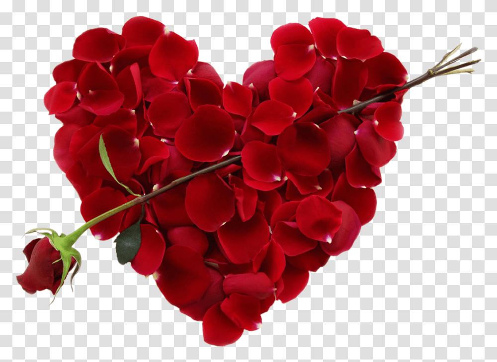 Heart Making With Rose Petal Hearts For Valentine's Day, Flower, Plant, Blossom, Geranium Transparent Png