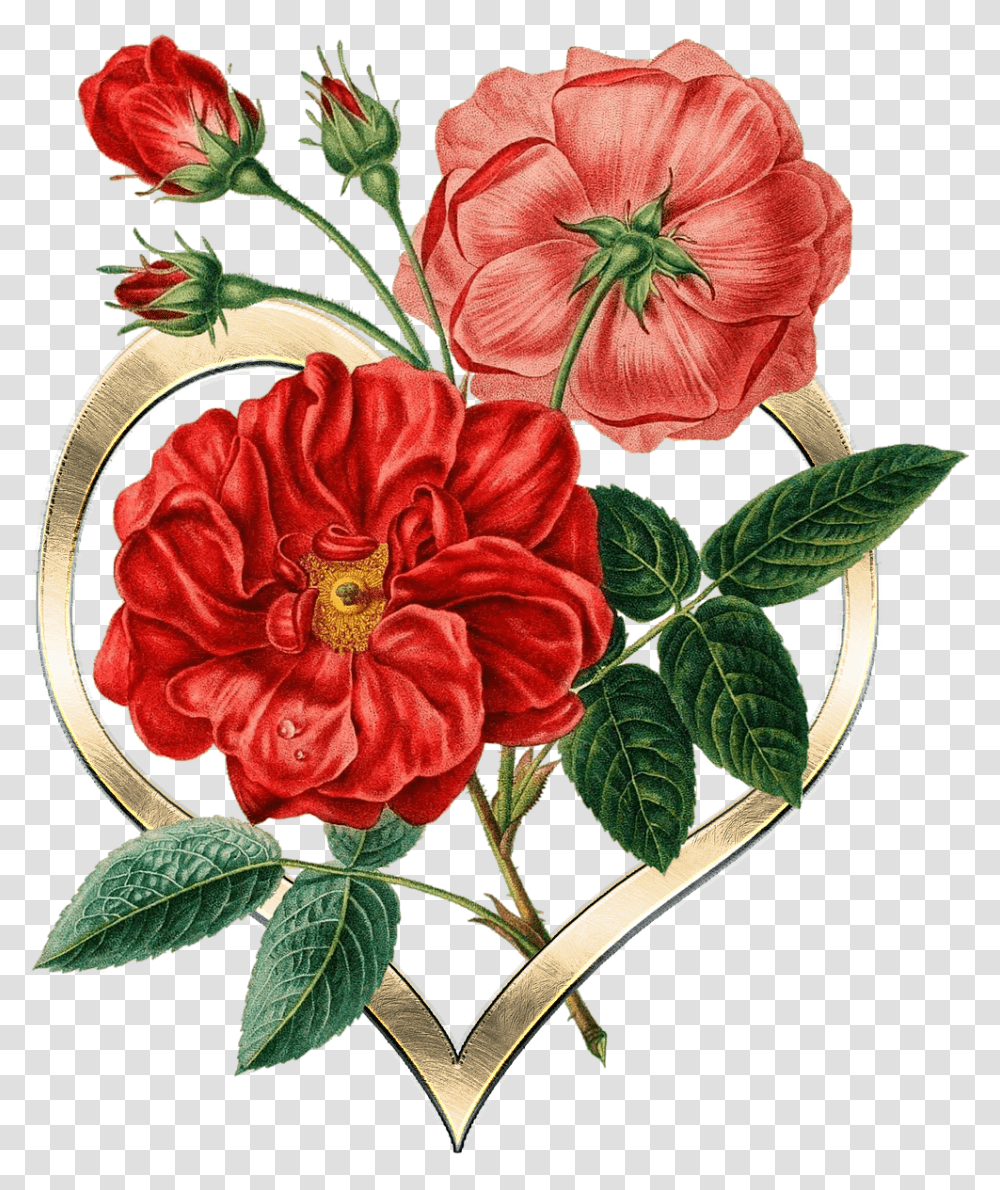Heart Metal Gold Flowers Texture Graphic Botanical Red Flower Illustrations, Plant, Blossom, Geranium, Floral Design Transparent Png