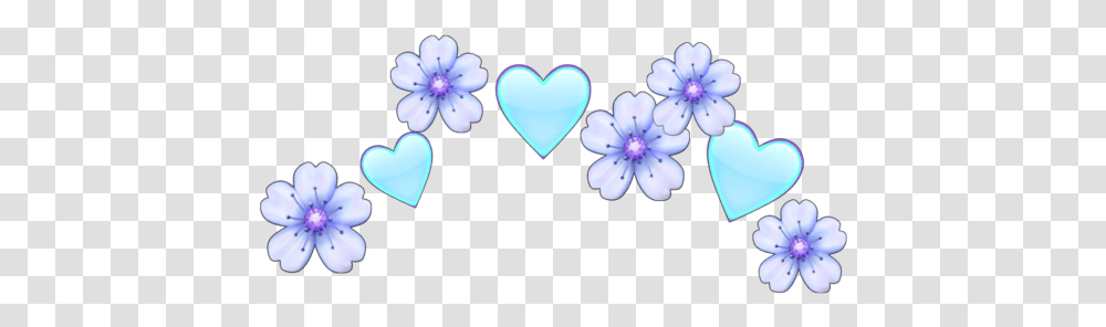 Heart, Petal, Flower, Plant, Blossom Transparent Png