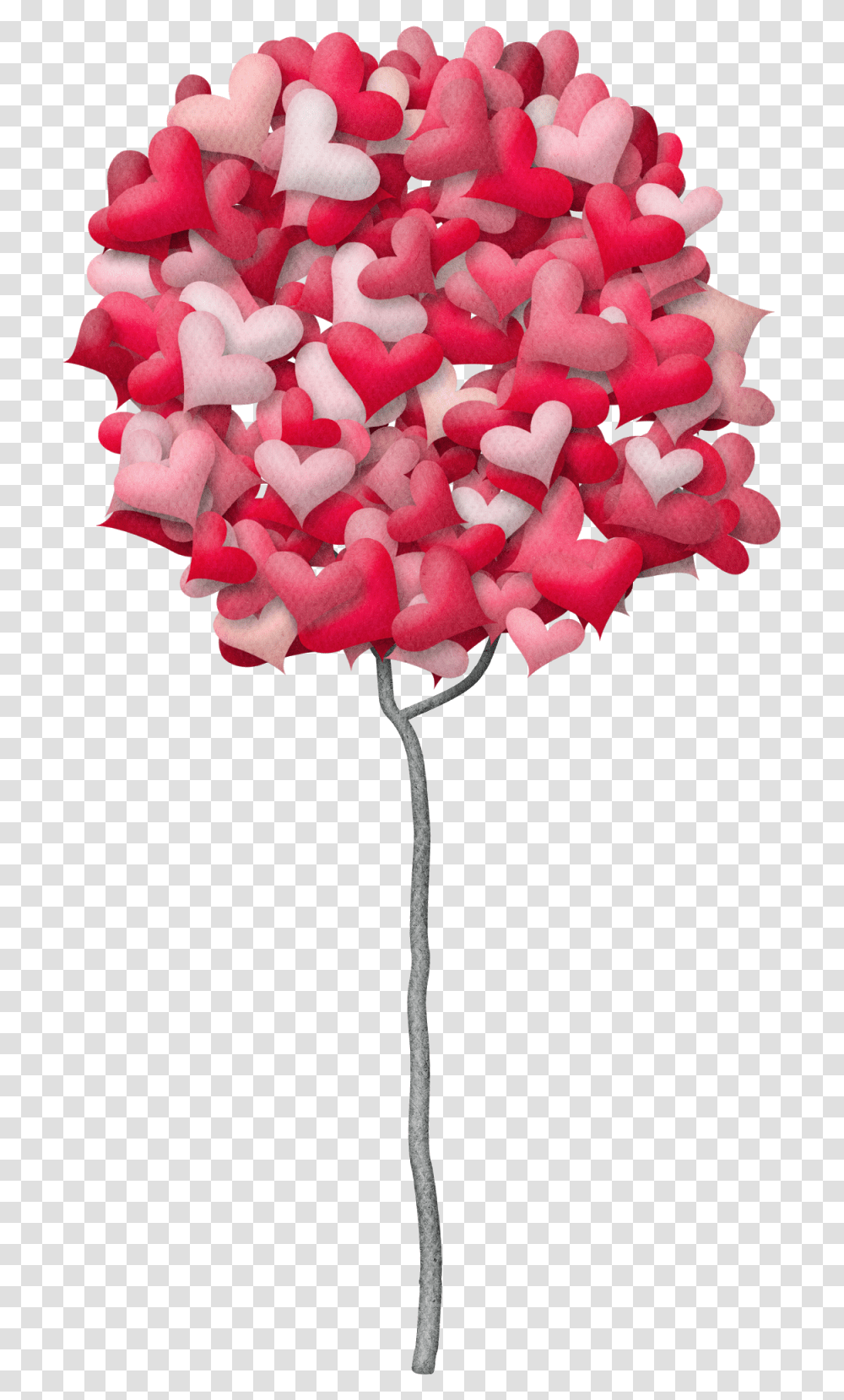 Heart, Petal, Flower, Plant, Blossom Transparent Png