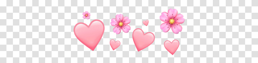 Heart, Petal, Flower, Plant, Blossom Transparent Png