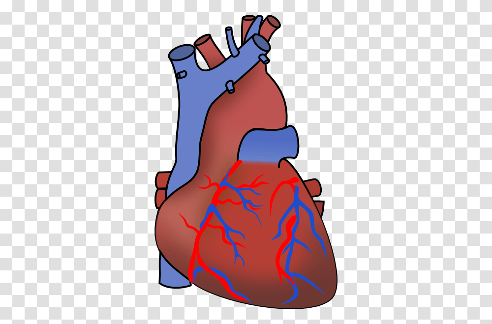 Heart Rate Clip Art, Plot, Outdoors, Diagram, Hip Transparent Png