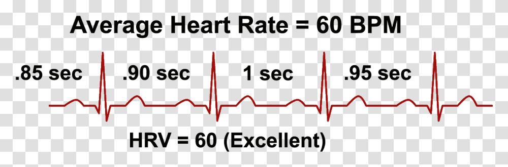 Heart Rate Variability And Bpm, Outdoors, Weapon, Screen Transparent Png