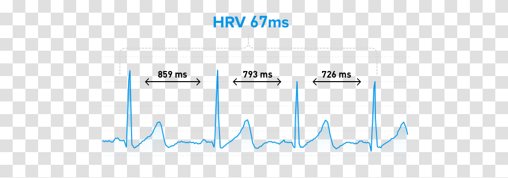 Heart Rate Variability The Ultimate Guide To Hrv Whoop Heart Rate Variability, Electronics, Oscilloscope, Text, Outdoors Transparent Png