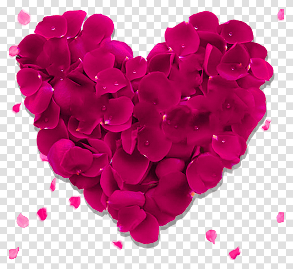 Heart Rose Download Image De Flores, Petal, Flower, Plant, Blossom Transparent Png